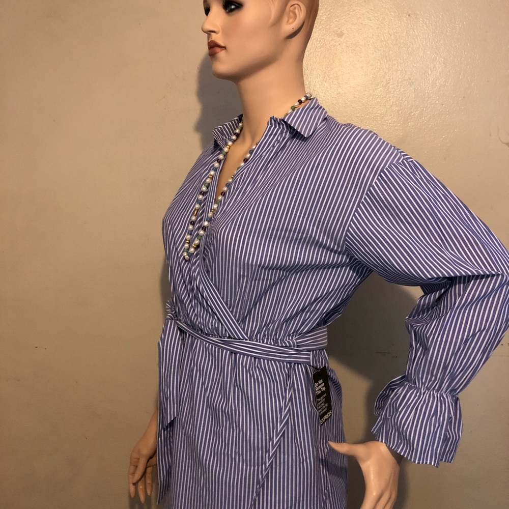 Express - Picture 4 of 4